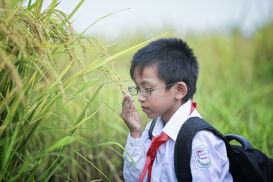 hon 11000 hoc sinh duoc cham soc mat tu mo hinh childsight