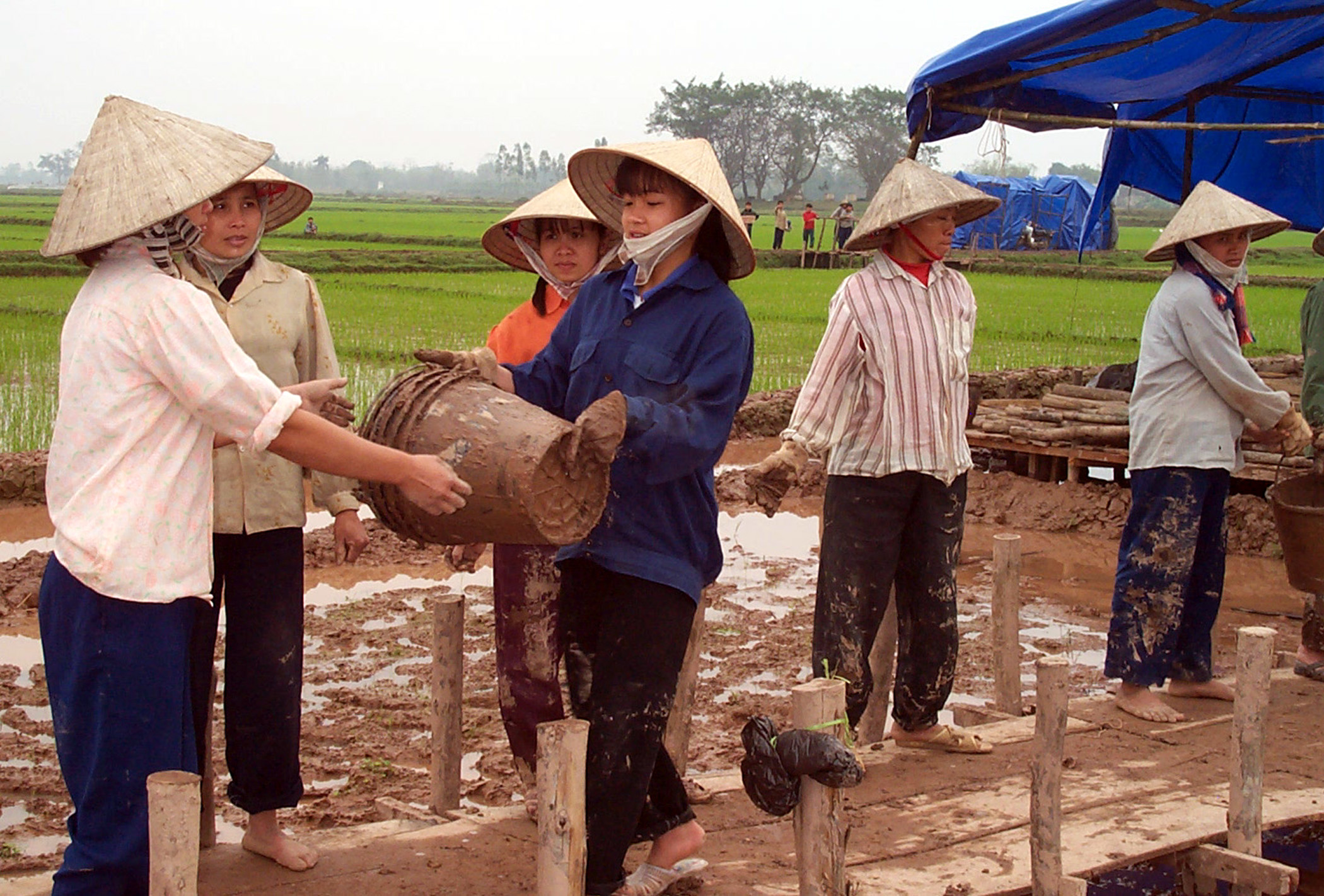 nguon goc va y nghia cua ngay phu nu viet nam 2010