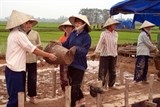 nguon goc va y nghia cua ngay phu nu viet nam 2010