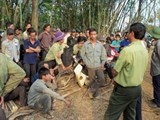 chinh phu yeu cau dieu tra nhanh vu giet hai 3 bao ve rung o dak nong