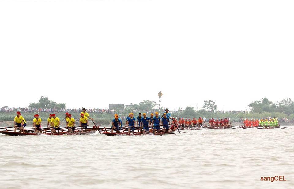 khong cap phep to chuc le hoi vi muc dich thuong mai