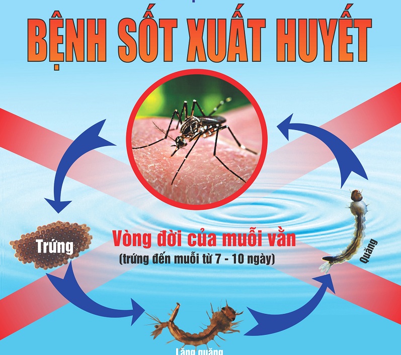 khong de thieu thuoc phong dich sot xuat huyet tay chan mieng