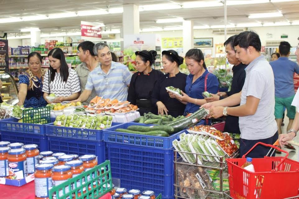 nong dan cao bang gioi thieu san pham sach toi thi truong lon ha noi