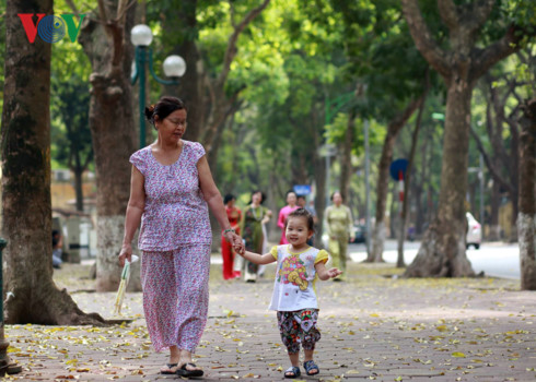 nguoi viet nam chua giau da gia va ganh nang an sinh