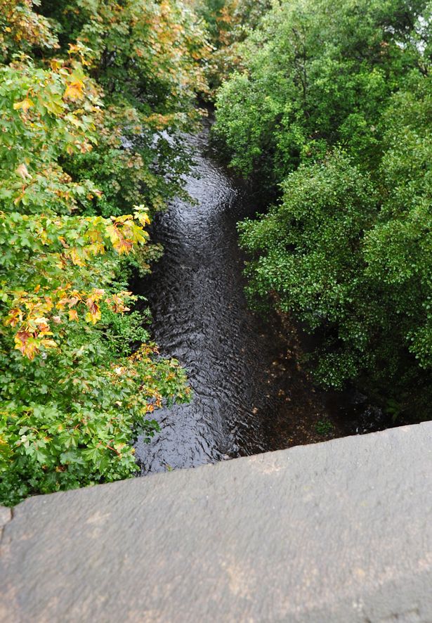 khong biet vi ly do gi ma nguoi dan ong nay da nem be gai 3 tuoi xuong cay cau cao 9m