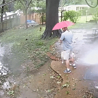 15 pha thoat hiem tai nan day kich tinh cu nhu phim hollywood