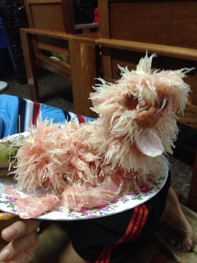 cuoi het hon truoc dung nhan cua 13 chu cho buoi xau mot cach xuat sac