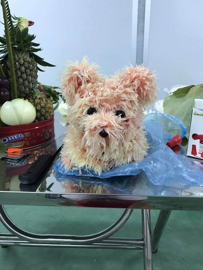 cuoi het hon truoc dung nhan cua 13 chu cho buoi xau mot cach xuat sac