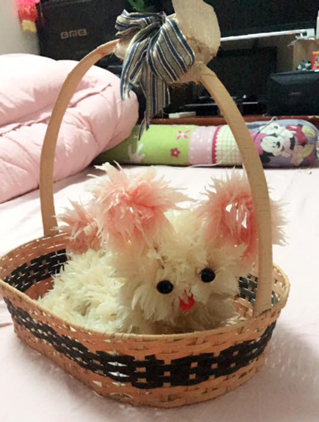 cuoi het hon truoc dung nhan cua 13 chu cho buoi xau mot cach xuat sac