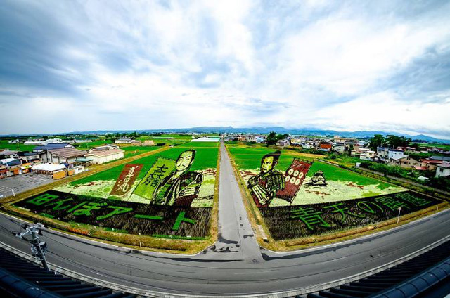 ngam trien lam tranh nghe thuat tren ruong lua tai nhat ban