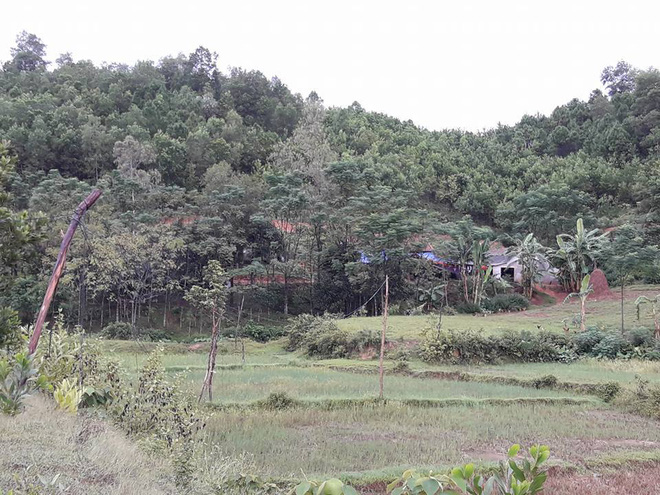 set bat ngo danh trung giuong khi ca nha dang ngu bo va con gai tu vong tai cho