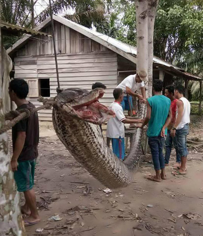 chan duong nguoi dan tran khong lo 7m bi hiep si duong pho giet chet