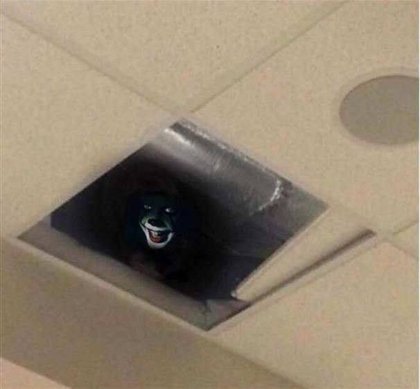 dang hon nhien quay cop trong gio kiem tra hoc sinh ngo len tran thi thay ai do nhin minh cham cham