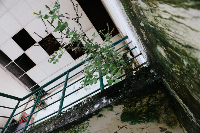 canh u am ben trong ngoi truong tieu hoc 20 ty dong bi bo hoang gan 10 nam giua sai gon