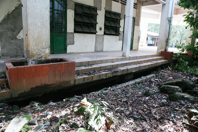 canh u am ben trong ngoi truong tieu hoc 20 ty dong bi bo hoang gan 10 nam giua sai gon