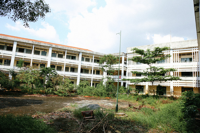 canh u am ben trong ngoi truong tieu hoc 20 ty dong bi bo hoang gan 10 nam giua sai gon