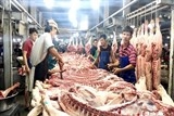 60% thịt heo đủ thông tin truy xuất vào chợ đầu mối TP.HCM
