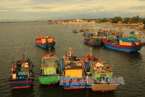 hai san viet tim cach khac phuc the vang o thi truong eu