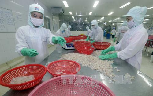 hai san viet tim cach khac phuc the vang o thi truong eu