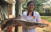 quang nam can thu bat duoc ca tre khung dai 1 met nhieu nguoi hoi mua gia cao nhung khong ban