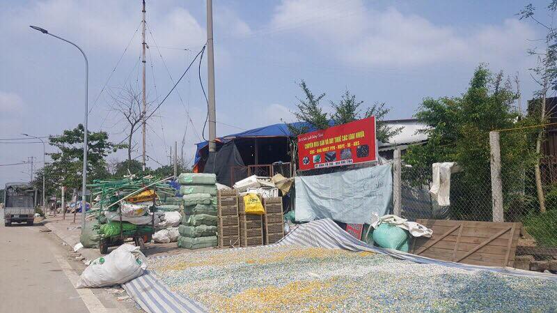 vi sao day dac nha xuong moc tren dat du an dat nong nghiep tai tan trieu