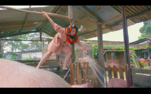 ngan khanh dien toan hang hieu de vao chuong tam cho heo