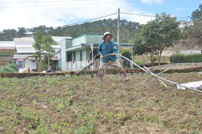 hang tram ho dan o da lat bo hoang vuon tuoc vi nguon nuoc bi o nhiem tu cho nong san