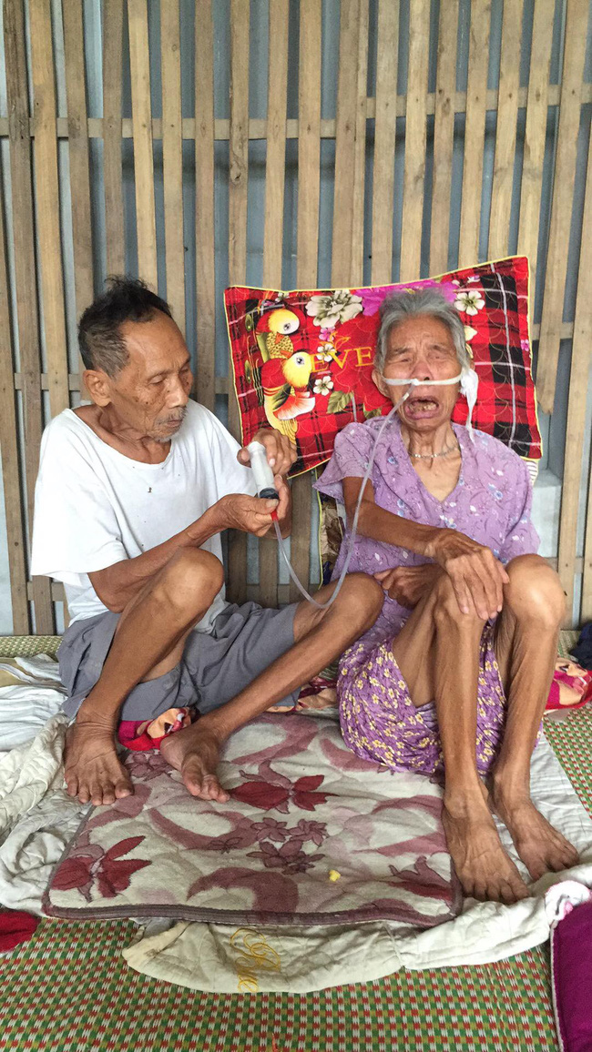 nghe an cu ong 85 tuoi bi ung thu suot nhieu nam gang guong cham vo nam liet giuong vi tai bien