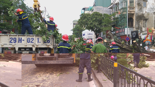 ha noi cay da co thu bat ngo do chan ngang duong tai xe thot tim khi thoat nan