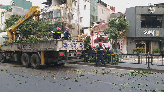 ha noi cay da co thu bat ngo do chan ngang duong tai xe thot tim khi thoat nan