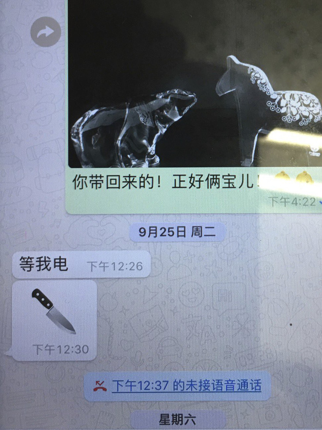 tq xac nhan bat giu chu tich interpol vo manh hoanh vi nhan duoc tin nhan hinh con dao