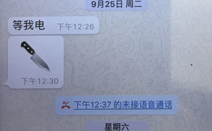 bo ca tq xac nhan chu tich interpol la tay chan cua chu vinh khang bi dieu tra hoi lo va pham phap