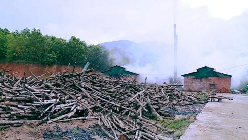 hue ai chong lung cho co so say cau chui ngang nhien hoat dong giua khu dan cu