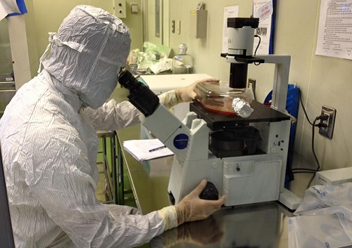 co gang xuat khau vaccine de dieu tri tam ly sinh ngoai cua nguoi viet