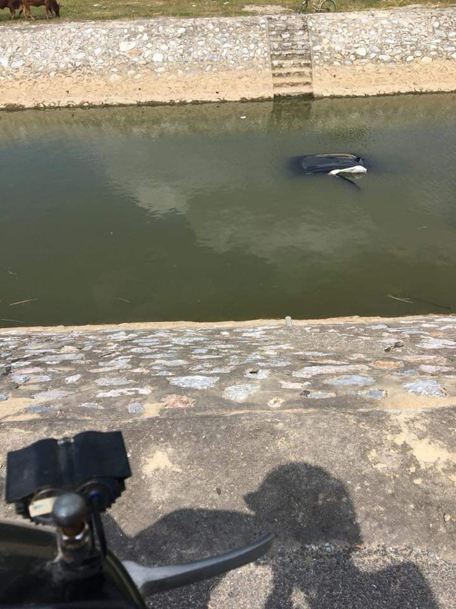 o to bay xuong song mot cach ky la tren bo khong co dau vet khien dan mang hieu ky