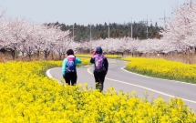ly do khac thuong nay da thu hut du khach trung quoc den voi han quoc