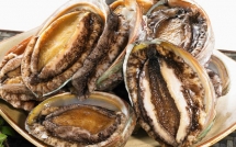 ban tiec hang chuc nghin usd o tq va cau chuyen dang sau tinh mang ngu dan ngheo o nam phi