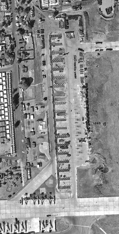 gau nga da biet so tung khien ca the gioi sung sot cung phai nhin ke lieu mang o syria