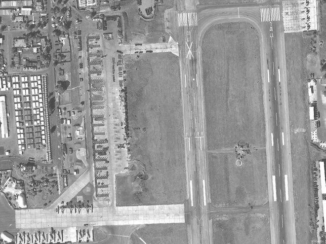 gau nga da biet so tung khien ca the gioi sung sot cung phai nhin ke lieu mang o syria