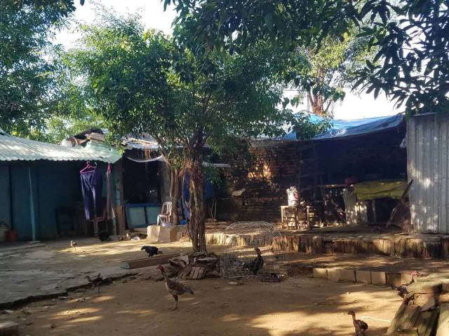 phuong an toi uu cho cuoc di dan lon nhat co do hue