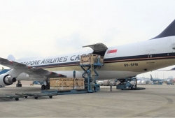 200 co bo sua huu co cuoi may bay tu uc ve viet nam