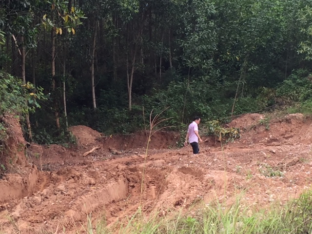 nong doanh nghiep loi dung boc phong hoa truc duong sat bac nam de van chuyen dat ra khoi dia phuong