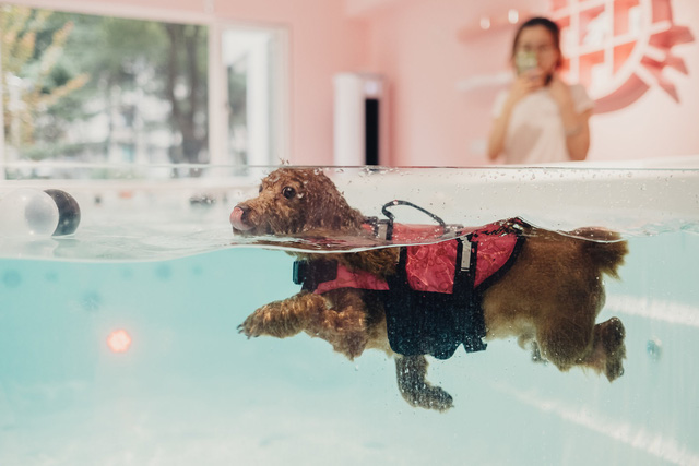 den thu cung cung tro thanh nan nhan cua chien tranh thuong mai my trung