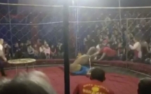 clip bi la co thu hut su tu pha tan hang rao bao ve lao vao tan cong be gai di xem xiec