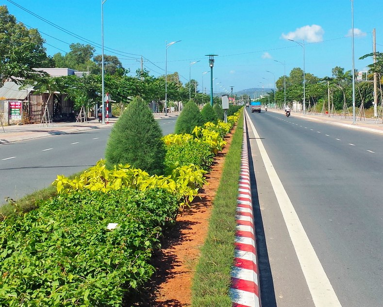 ba ria vung tau thu hoi gan 300 trieu dong do boi thuong nham