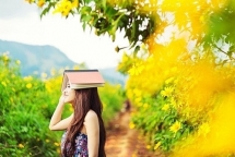 da quy vang ruc khong chi co o da lat