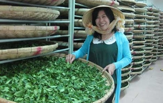 chua the dua thi the nu doanh nhan ha linh ve nuoc