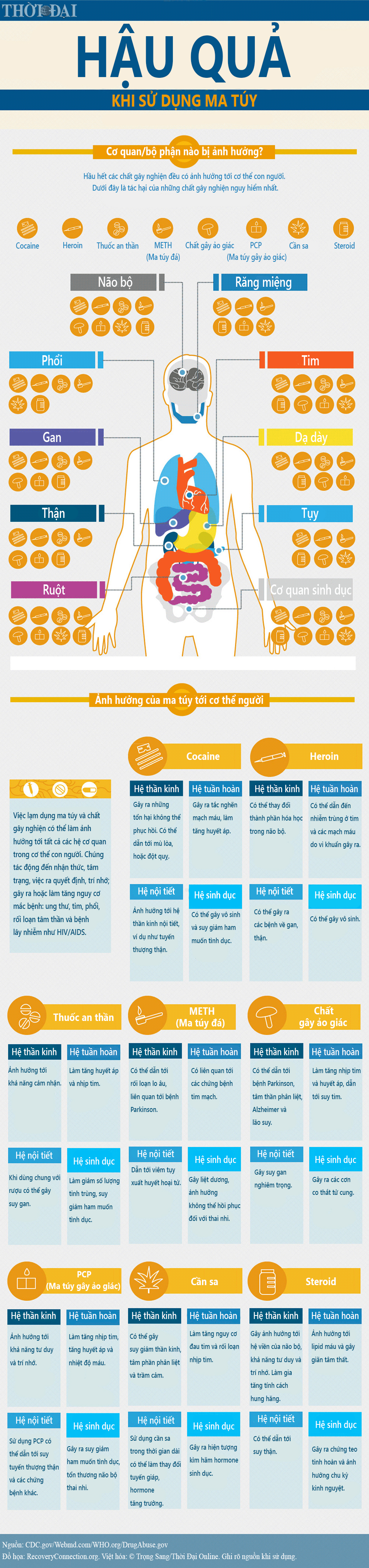 infographic ma tuy huy hoai co the nhu the nao