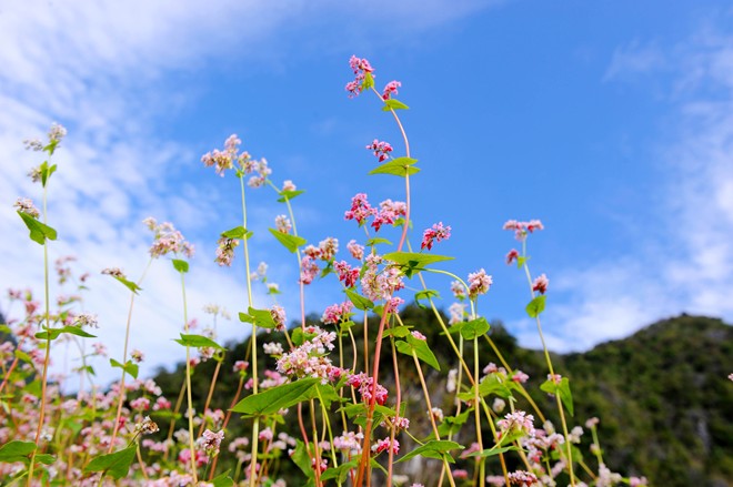 5 thoi quen xau tren duong di phuot ha giang