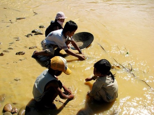 hang tram hoc sinh bo hoc